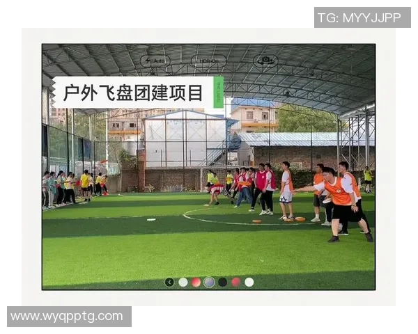 飞盘运动的魅力与挑战：深入了解重庆飞盘队的耐力训练与团队精神